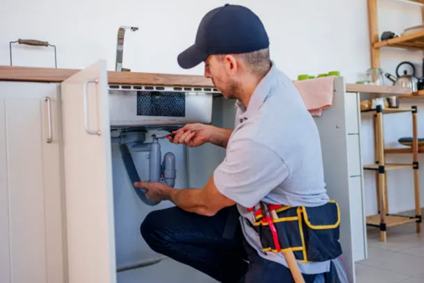 manitas en Breña Baja, Santa Cruz de Tenerife